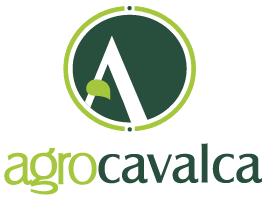 Logo AgroCavalca MT